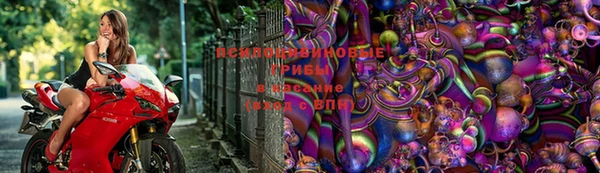 PSILOCYBIN Алексин